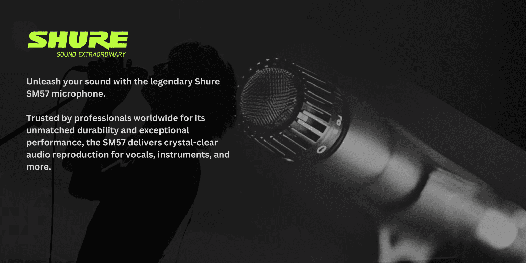 Shure website (9)